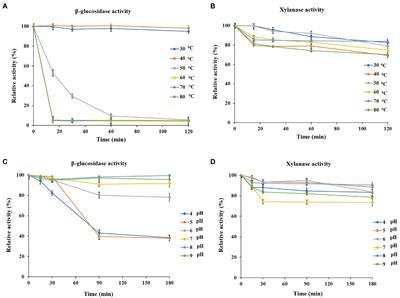 Enhancing the ethanol production by exploiting a novel metagenomic-derived bifunctional xylanase/β-glucosidase enzyme with improved β-glucosidase activity by a nanocellulose carrier